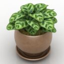 3D модель для ArchiCAD