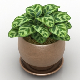 3D модель для ArchiCAD