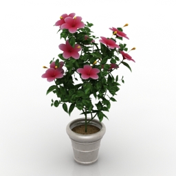 3D модель для ArchiCAD